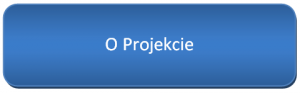 O_projekcie_1