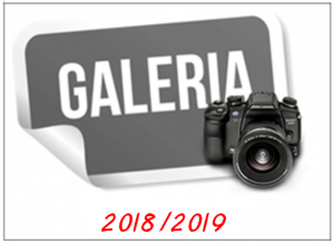 galeria