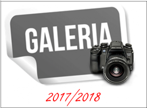 galeria_1