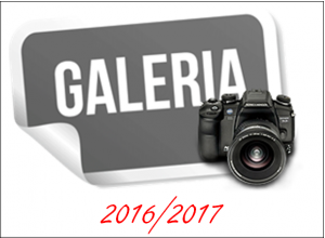 galeria_2