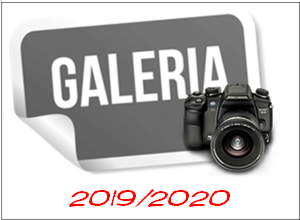 galeria_2019