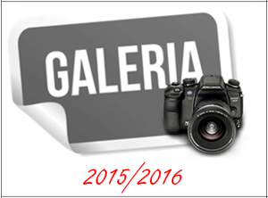 galeria_3