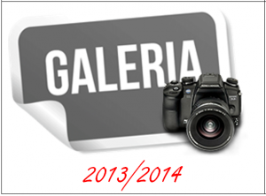 galeria_5